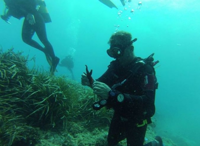  Stöbern Sie so viel Sie möchten 